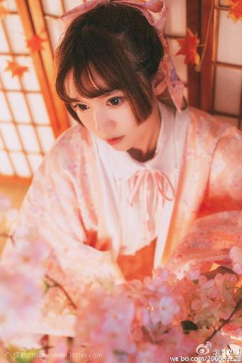 金瓶双艳电视剧免费观看全集在线播放